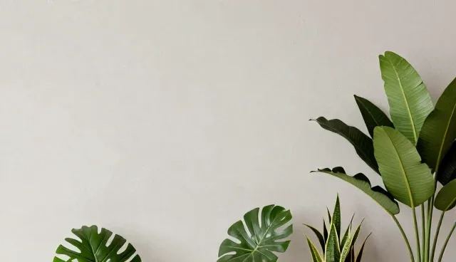 技术研究中性能差异的成因分析